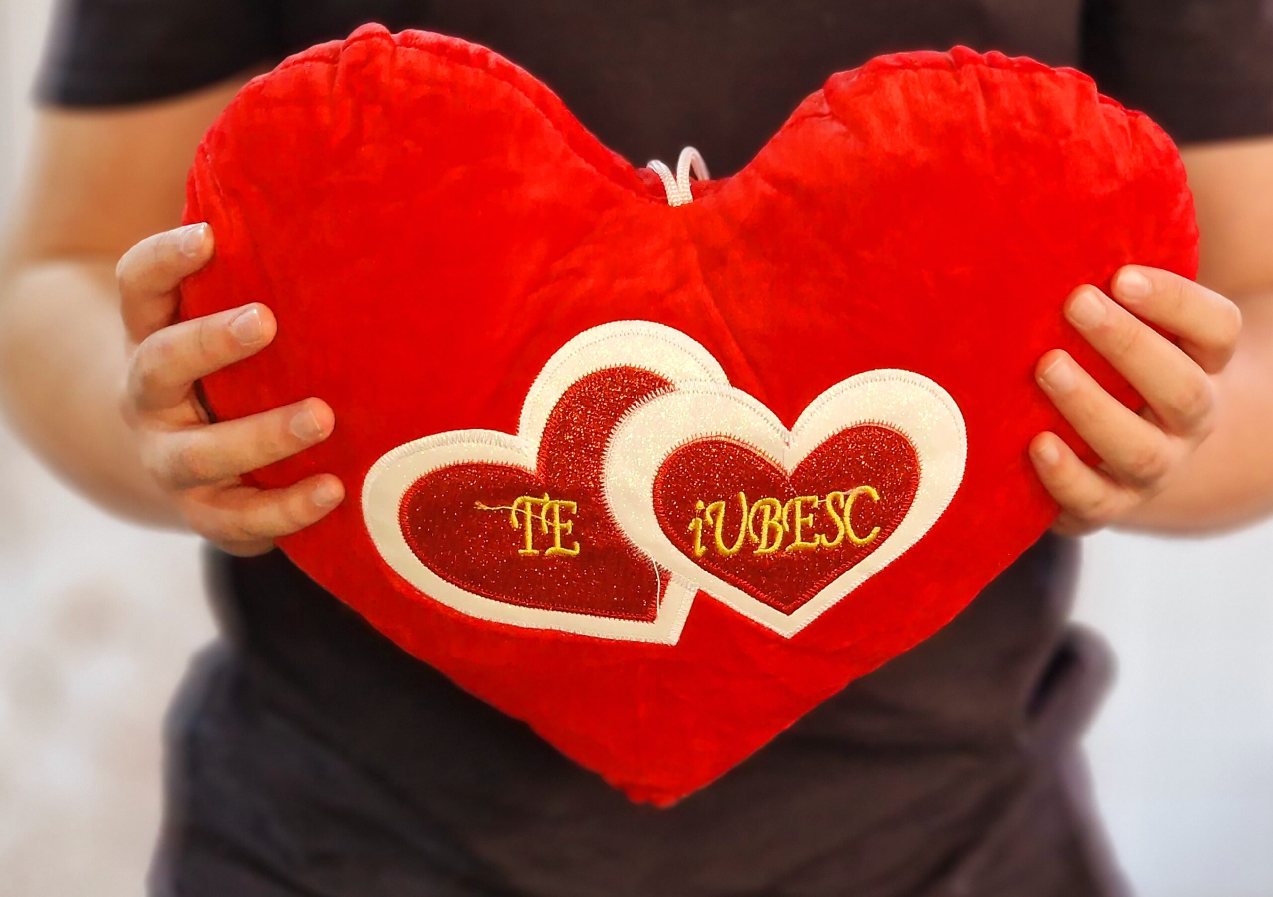 Pernă inimă cu mesaj brodat pufoasa